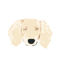 Dog Dachshund Sticker