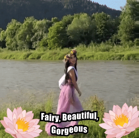 Fairy GIF