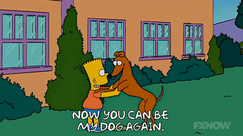 Season 18 Episode 20 GIF by The Simpsons