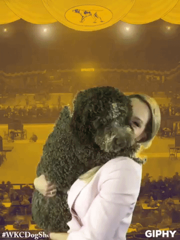 wkcdogshow GIF by Westminster Kennel Club