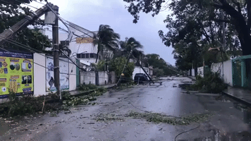Storm Zeta Downs Power Lines, Traffic Lights in Cozumel