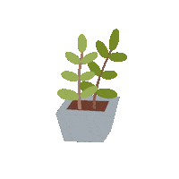 Succulent Sticker