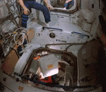 yairmau giphyupload GIF