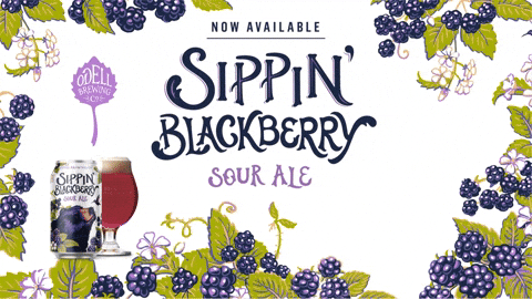 GIF by Odell Brewing Company