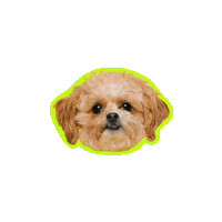 Dog Food Sticker by Donesi