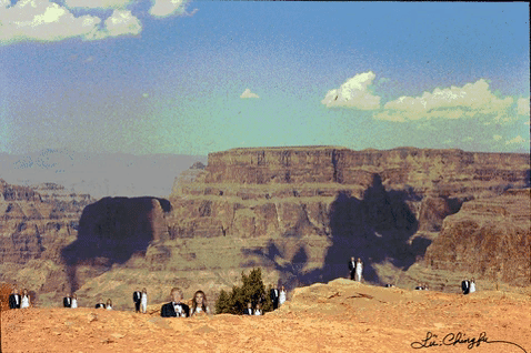 donald trump cliff GIF