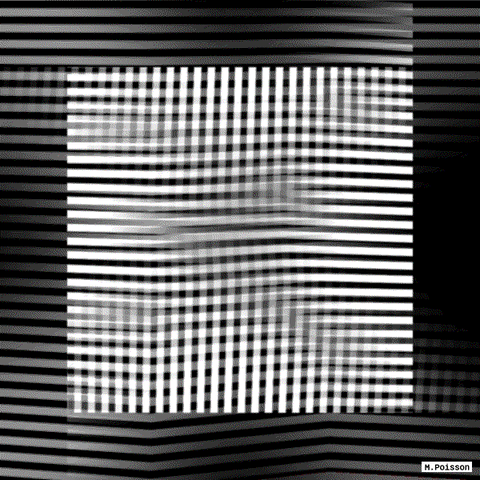 art geometry GIF by Michel Poisson