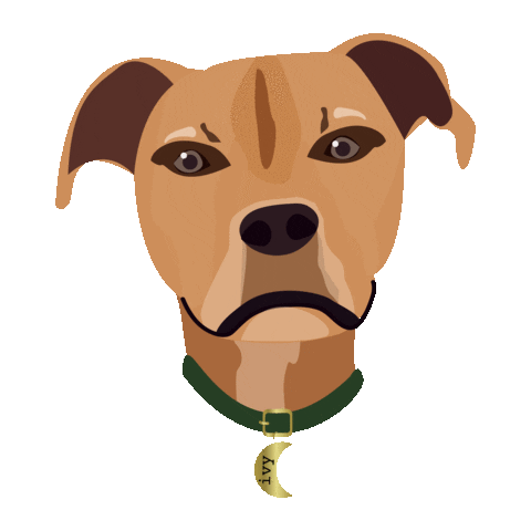 debanddanelle pitbull pit adoptdontshop ivy Sticker