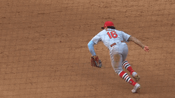 Major League Baseball Sport GIF by MLB