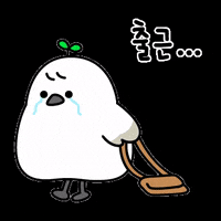 ddobong-e 출근 봉이 또또 도봉구 GIF