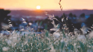 GIF by TechPixies