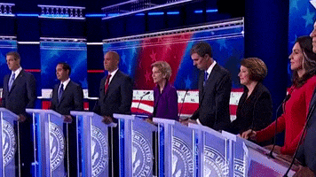 elizabethwarren hand 2020 politics democrat GIF