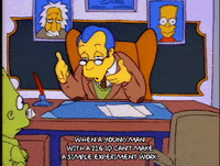 Season 1 GIF by The Simpsons
