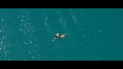 Water Floating GIF by Ryland James