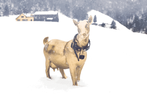 Christmas Snow GIF by LediBelle