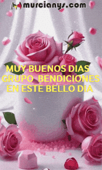 Amigos GIF by Murcianys LLC