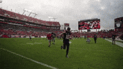 Football Win GIF by New England Patriots