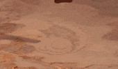 The Lion King Animation GIF by Disney