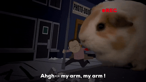 screaming guinea pig GIF by South Park 