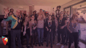holidaypirates fun party wow celebration GIF