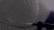 flying dog japan GIF by Mashable