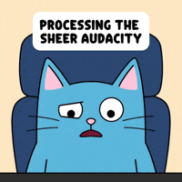 Blue Cat Disbelief GIF