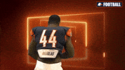 Chico GIF by Carson-Newman Athletics
