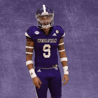 Football Wesleyan GIF by KWC Panthers