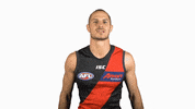 essendonfc dons bombers essendon essendon fc GIF