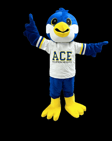 AceAcumenHeights giphygifmaker ace falcon aah GIF
