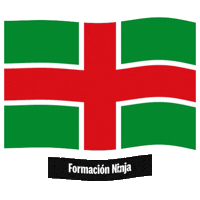 Castilla Y Leon Flag Sticker by Formación Ninja