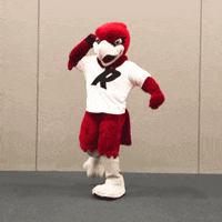 RiponCollege dance bird fortnite rally GIF