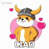 Italian Hello GIF by FLOKI