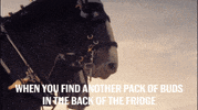 super bowl GIF by Budweiser