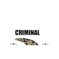 Criminal Justice Johnson Sticker by JohnsonHSBand