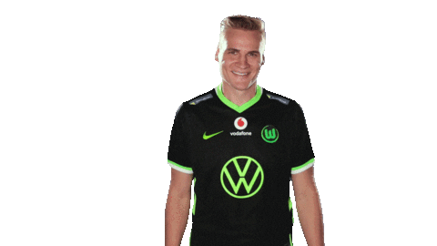E Sports Sport Sticker by VfL Wolfsburg