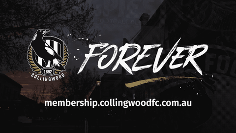 magpies GIF by CollingwoodFC