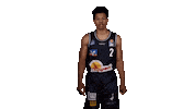 Basketball Trae Sticker by HAKRO Merlins Crailsheim