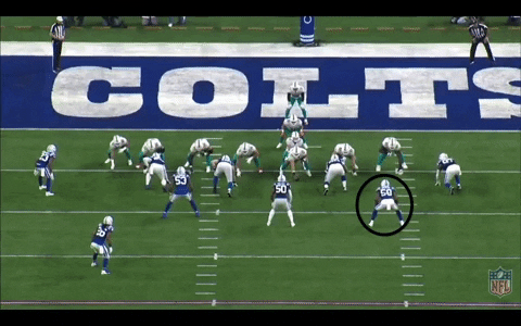 zachhicks giphygifmaker GIF