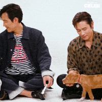 Lee Jung Jae Puppy GIF by BuzzFeed