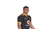 Rugby Sticker by Wasps