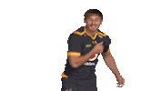 Rugby Sticker by Wasps