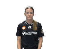 F-liiga floorball salibandy innebandy fliiga Sticker