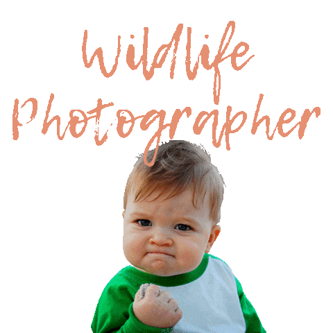Photography Foto Sticker by dreamworldphoto