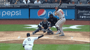 Jomboy  GIF