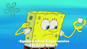 season 10 episode 6 GIF by SpongeBob SquarePants