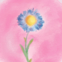 Illustration Flower GIF