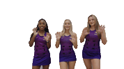 Netball Gopanthers Sticker by University of Brighton
