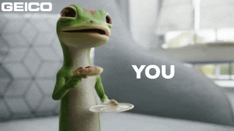 Wow GIF by GEICO