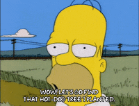 homer simpson episode 10 GIF